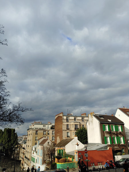 Art and Life of Montmartre