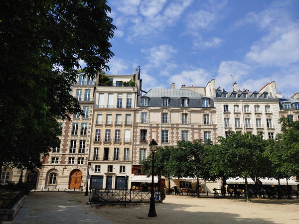 Two Islands Tour: Discover the Heart of Paris